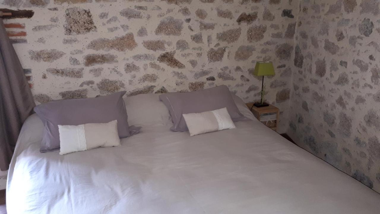 Demeure Du Castel Bed & Breakfast Les Châtelliers-Châteaumur Exterior foto