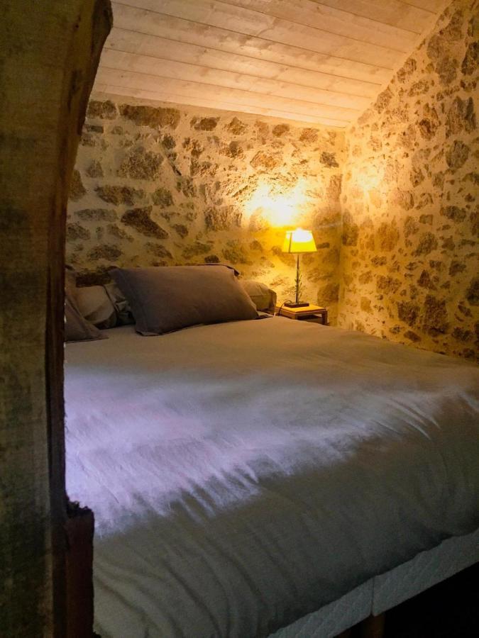 Demeure Du Castel Bed & Breakfast Les Châtelliers-Châteaumur Exterior foto